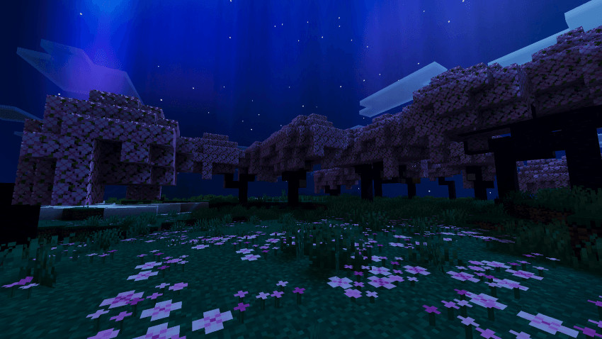 Violet Aurora at Night